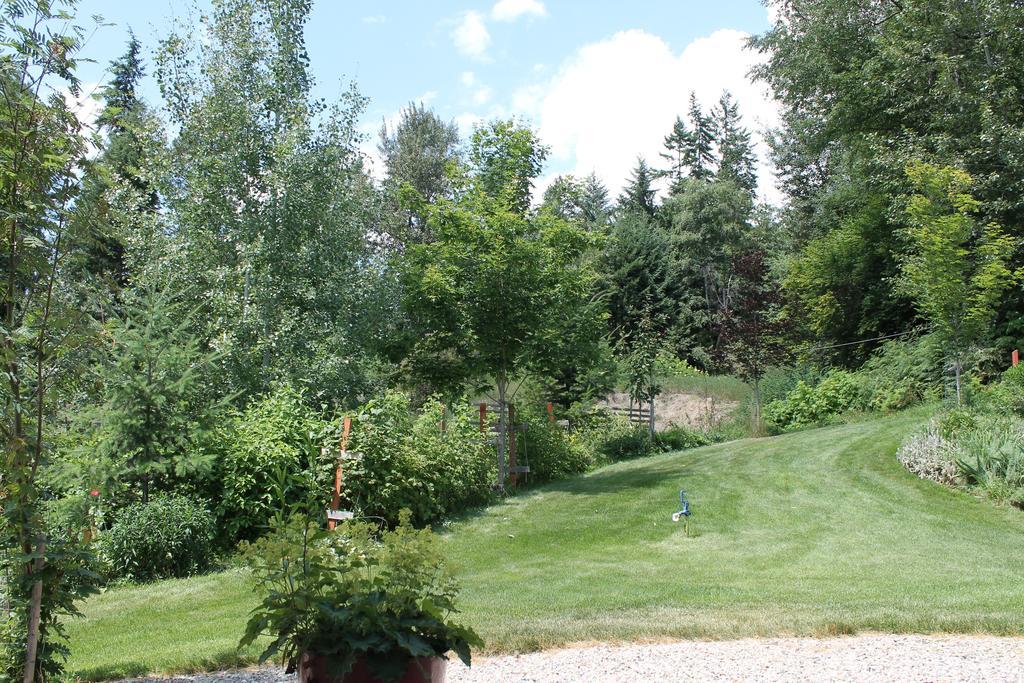 Windborne Bed & Breakfast Castlegar Kültér fotó